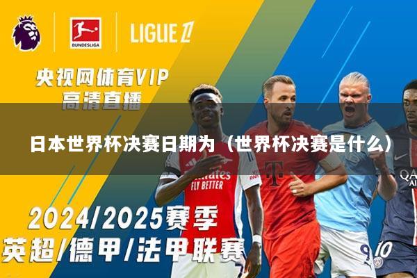 日本世界杯决赛日期为（世界杯决赛是什么）