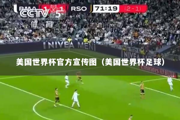 美国世界杯官方宣传图（美国世界杯足球）